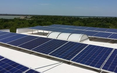 Drawing on the Power-Saving Potential of SPF Roofing & Solar Panels for Your Business