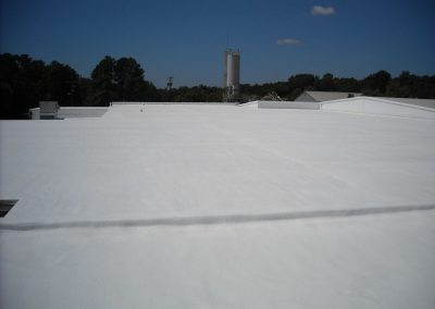 White Polyurethane Foam Roof