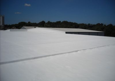 Solid White Foam Roof in Dallas, TX